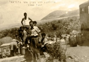 Jezreel spring 1948